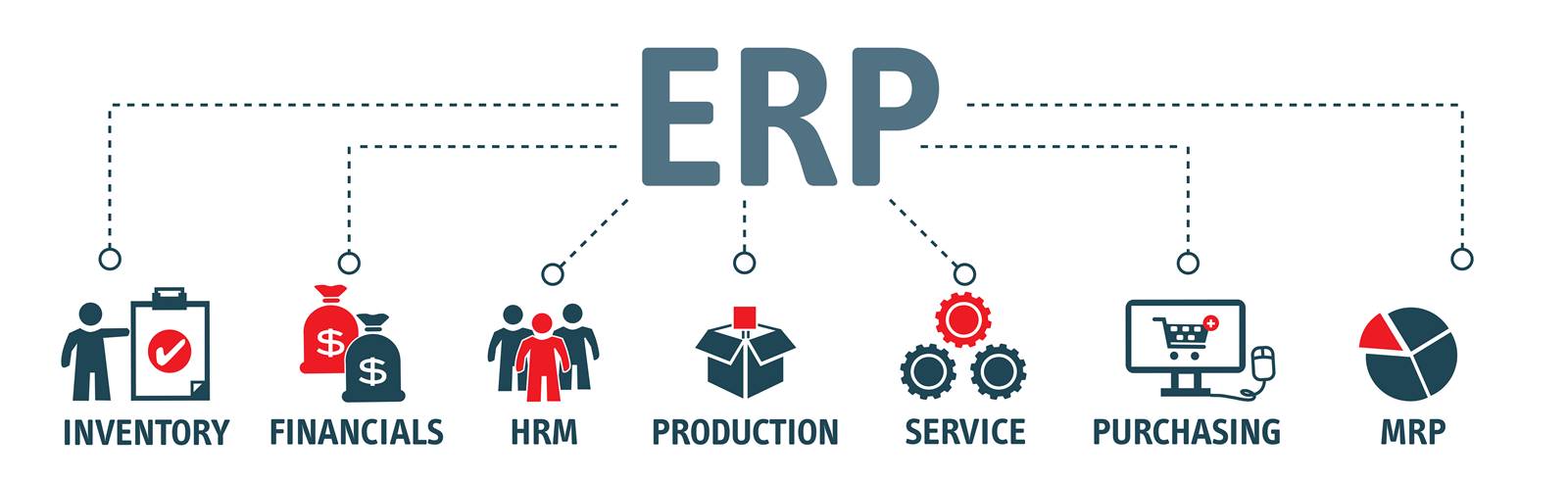 ERP Development Company